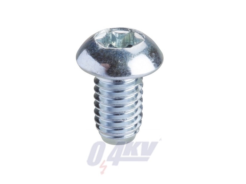 Torx screw T30 (M6x10)